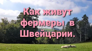 Жизнь швейцарского фермера.Красивый вид на Берн. Интересно о Швейцарии.