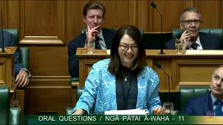 Melissa Lee responds to questions about Newshub closure in Parliament