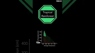 Generating an Environment for My Evolution Simulator (Part 2)