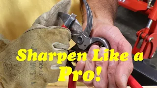 Sharpening Pruning Shears | How to Keep Pruning Shears Sharp