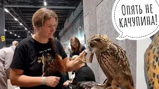 Eagle owl Yoll at the Reptilium Autumn 2023 exhibition. Lots of people and Kindness!