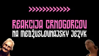 Реакция черногорцев на межславянский язык / Interslavic language in Montenegro