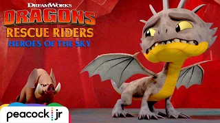 Burple vs. The Boars | DRAGONS RESCUE RIDERS: HEROES OF THE SKY