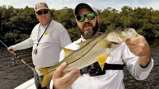 Snook Fishing with Live Greenbacks Tampa Bay Inshore