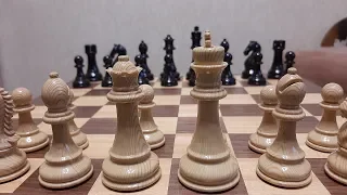 Шахматы. Шокируем соперника хитрым конем. Крутая ловушка. Обучение шахматам.