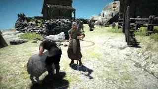 Трейлер Black Desert