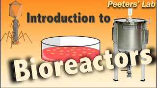 Introduction to bioreactors