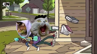 Cats of the Creek | Theme song | Cat-toon Network