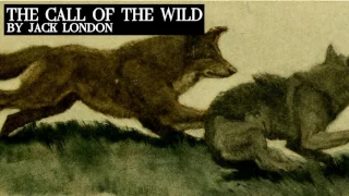 The Call of The Wild By Jack London - Complete Audiobook (Unabridged)