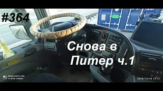 364 Картофель в Питер ч 1