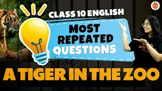 Most Repeated Questions From A Tiger in the Zoo |CBSE Class 10 English Chapter-3 Important Questions