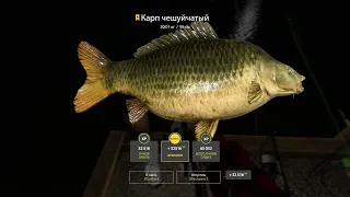 Russian Fishing 4 /Русская рыбалка. Озеро янтарное трофейный карп