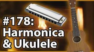 Is It A Good Idea To Microwave A Harmonica & Ukulele?