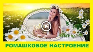 Ромашковое настроение ✿ Красивые ромашки