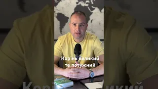 Чим накачати коріння