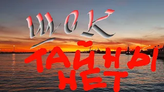 ШОК. ТАЙНЫ НЕТ. АЛАНЫ. 21-е видео.