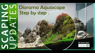 How to make a Diorama aquascape| Step by step Brazilian style aquascape| 4 ft Nature aquarium setup