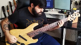 Pain of Salvation - Accelerator (Bass Cover)