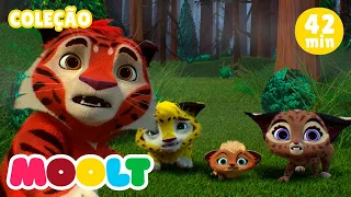 Leo & Tig - Сervo vermelho e MAIS EPISÓDIOS | desenhos para bebês em MOOLT