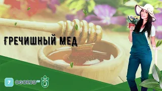 Гречишный мед