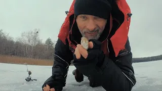 Šiandien kimba. Ešerių gaudymas Šlavantėlio ežere