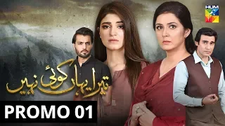 Tera Yahan Koi Nahin | Promo 1 | HUM TV | Drama