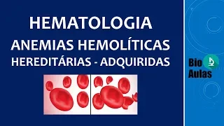 Anemia Hemolítica Hereditária e Adquirida: Introdução (Hematologia) - Bio Aulas
