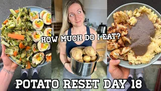 POTATO RESET Day 18 | How many pounds of food do I eat?