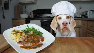 Chef Dog Cooks Steak Dinner for Friends: Funny Dog Maymo