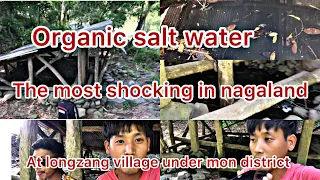 Organic salt water in nagaland || longzang village mon district #salt #viral