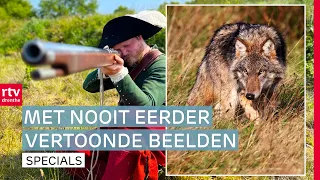 Wolvendrift: Drenthe leeft (nog niet) samen met de wolf | Docu | RTV Drenthe