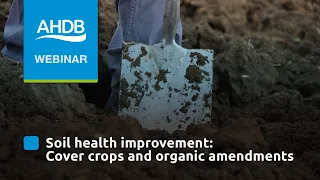 Soil health improvement – Cover crops and organic amendments