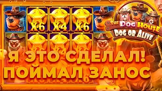 МОЙ РЕКОРДНЫЙ ЗАНОС ПО 1.000 В НОВЫХ СОБАКАХ THE DOG HOUSE DOG OR ALIVE | ЗАНОСЫ НЕДЕЛИ В CRAZY TIME