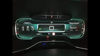 Instalacion Testigo de regeneracion fap en Citroen c5 Aircross