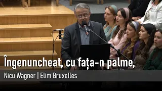 Îngenuncheat, cu fața-n palme, I Nicu Wagner