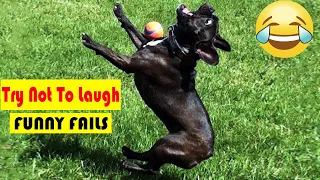 TRY NOT to LAUGH Animals FUNNY PET FAILS Compilation  2018   Epic Pet Videos & Moments 1