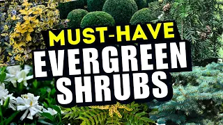 15 MUST-HAVE Evergreen Shrubs for YEAR-ROUND Beauty 🍃 // ALL SEASON STUNNERS 💚