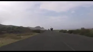 Cyclist Gets Chased By An Ostrich The Funniest Thing You Will See Today #Cyclist #Ostrich