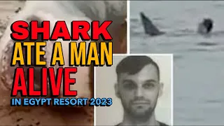 SHARK ATTACK IN EGYPT RESORT 2023