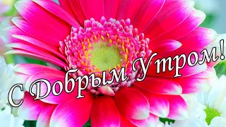 С ДОБРЫМ УТРОМ 13 Апреля!🌼Желаю Самого Доброго Солнечного Утра!🌼  Шикарная Музыкальная открытка 🌼