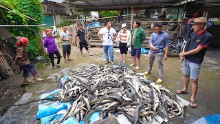 KÝ SỰ VÙNG BIÊN (T8) KINH HOÀNG LŨ ỐNG QUẤN TRÔI MỌI THỨ Ở NẬM CANG LÀO CAI