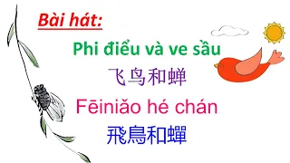 Học hát tiếng Trung - Phi điểu và ve sầu 飞鸟和蝉 feiniao he chan