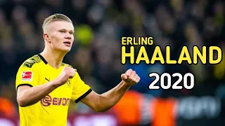 Erling Haaland 2020 ▶ Best Skills And Goals ● Borussia Dortmund