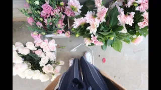 Petal Driven Flower Delivery | Unboxing & Preparing Your Flowers