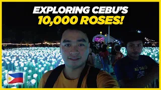 LET'S EXPLORE 10,000 ROSES IN CEBU! 🌹🇵🇭 | Lost Furukawa