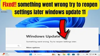 How to fix something went wrong try to reopen settings later windows update 11