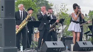 Stronger Than Me - Trumpet Solo with The Winehouse Project - Don Chilton