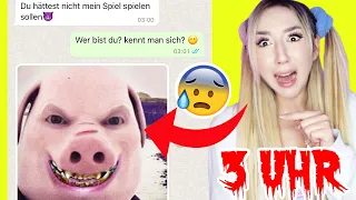 Lese niemals diese WHATSAPP Nachricht um 3 Uhr Nachts wenn JOHN PORK aus TIKTOK dich anrufen will