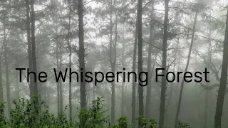 The Whispering Forest