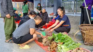 Snail Harvest & Ginger, Wild Tubers, Green Vegetables Goes to the market to sell | Ly Thi Tam